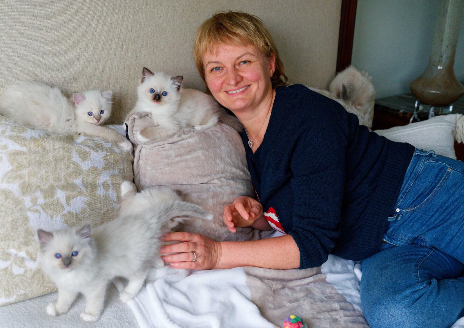 Yaryna, TICA-registered Ragdoll breeder in New Jersey, at home with three Ragdoll kittens